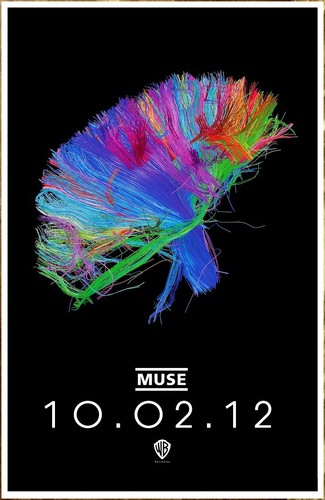 Muse the 2nd - muse, nuovo